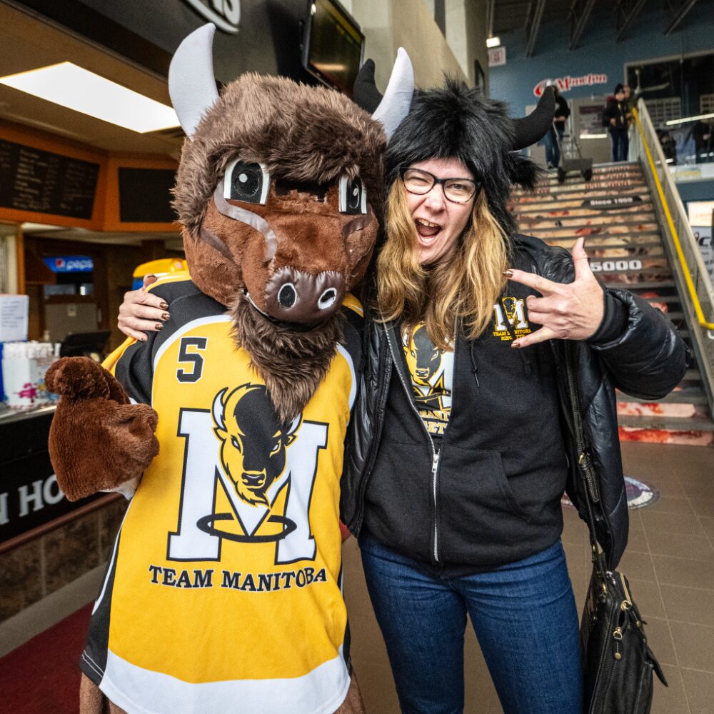 bison bison